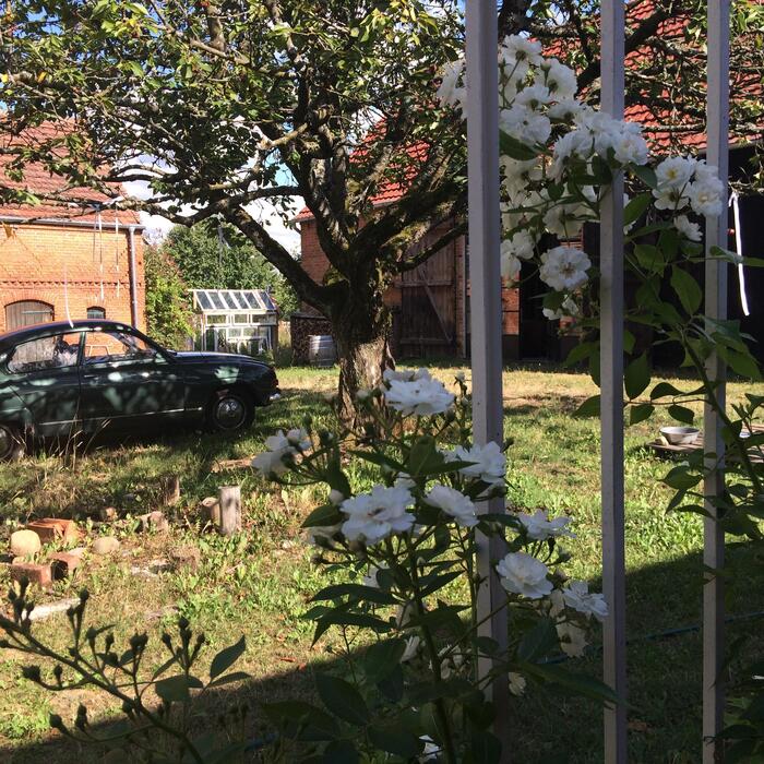 LocationRobot - Film Location Bauernhof LR2747 (photo 4)