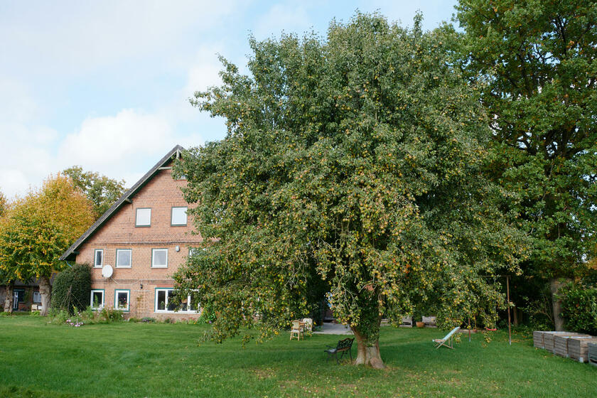 LocationRobot - Film Location Bauernhof LR3531 (photo 5)