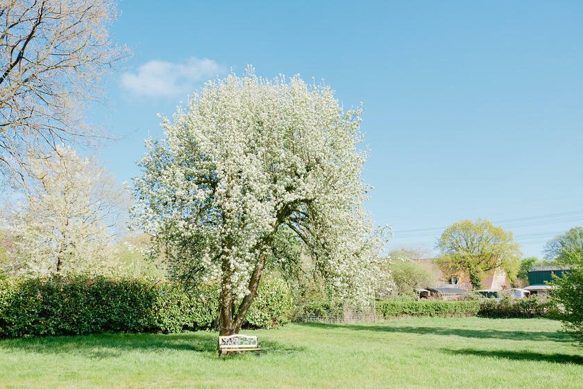 LocationRobot - Film Location Bauernhof LR3531 (photo 9)