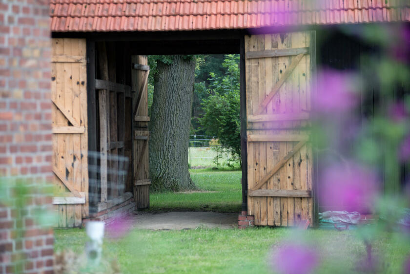 LocationRobot - Film Location Scheune LR4184 (photo 2)