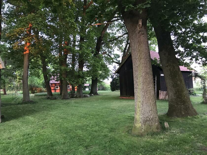 LocationRobot - Film Location Scheune LR4184 (photo 9)