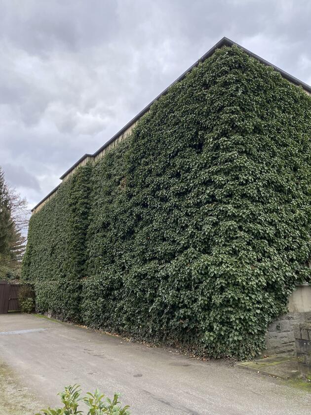 LocationRobot - Film Location Bunkeranlage LR4772 (photo 3)