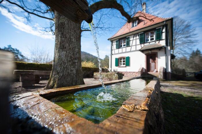 LocationRobot - Film Location Herrenhaus LR2392 (photo 8)