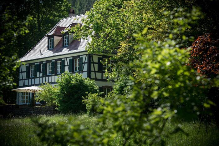 LocationRobot - Film Location Herrenhaus LR2392 (photo 4)