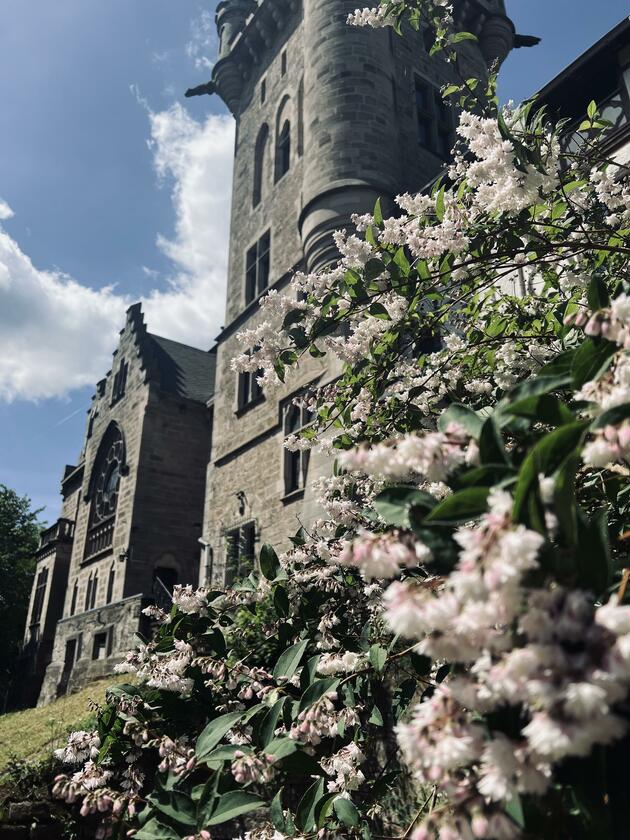 LocationRobot - Film Location Schloss LR4941 (photo 10)