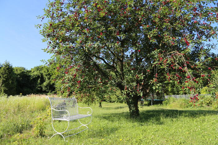 LocationRobot - Film Location Landhaus LR2104 (photo 4)