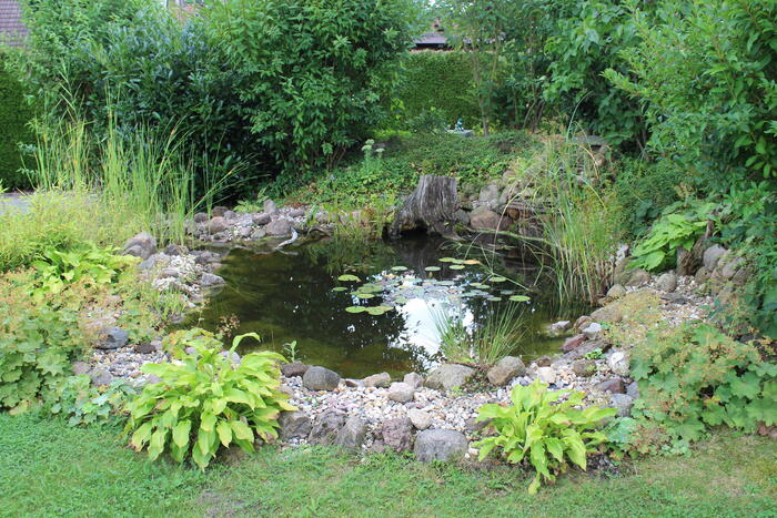 LocationRobot - Film Location Einfamilienhaus LR2806 (photo 8)