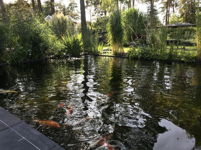 LocationRobot - Film Location Villa LR2838 (photo 9)