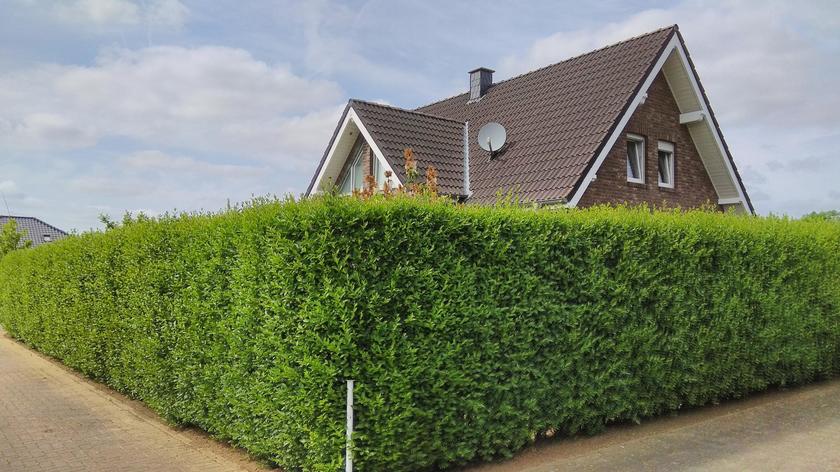 LocationRobot - Film Location Ferienhaus LR2896 (photo 5)