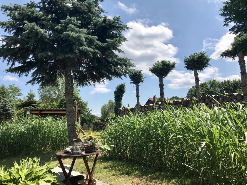 LocationRobot - Film Location Einfamilienhaus LR3049 (photo 10)