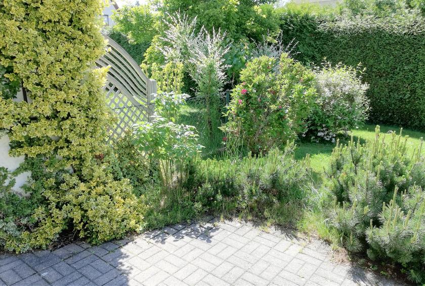 LocationRobot - Film Location Reihenhaus LR3079 (photo 4)