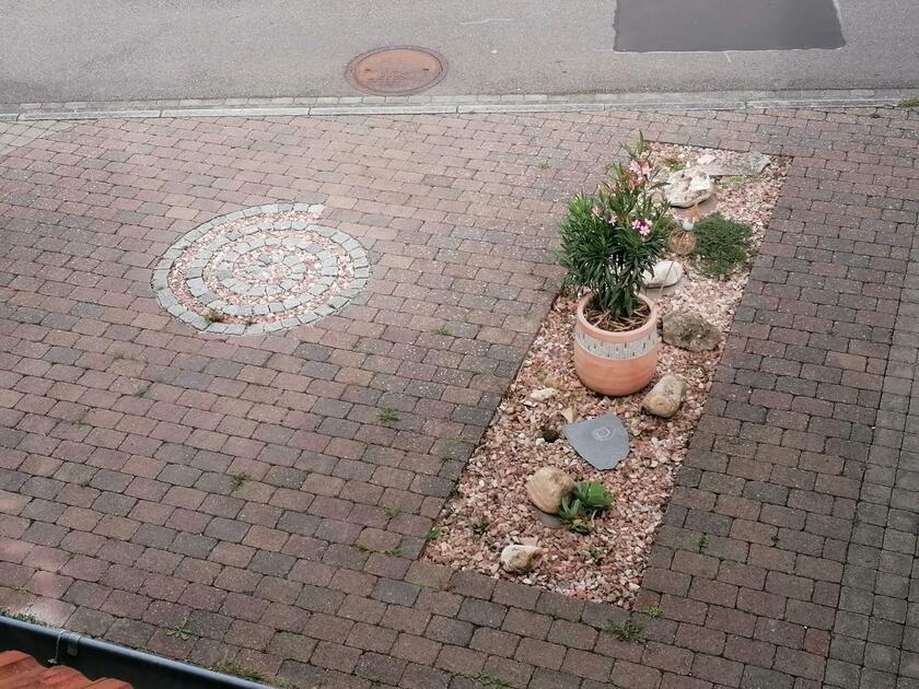 LocationRobot - Film Location Einfamilienhaus LR3364 (photo 8)