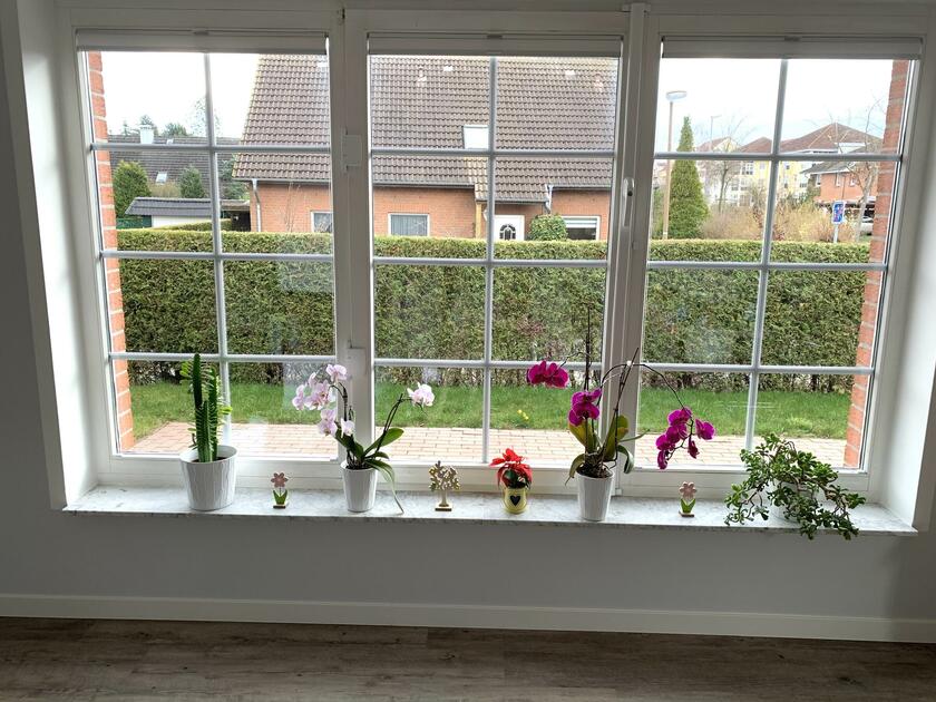 LocationRobot - Film Location Einfamilienhaus LR3729 (photo 8)