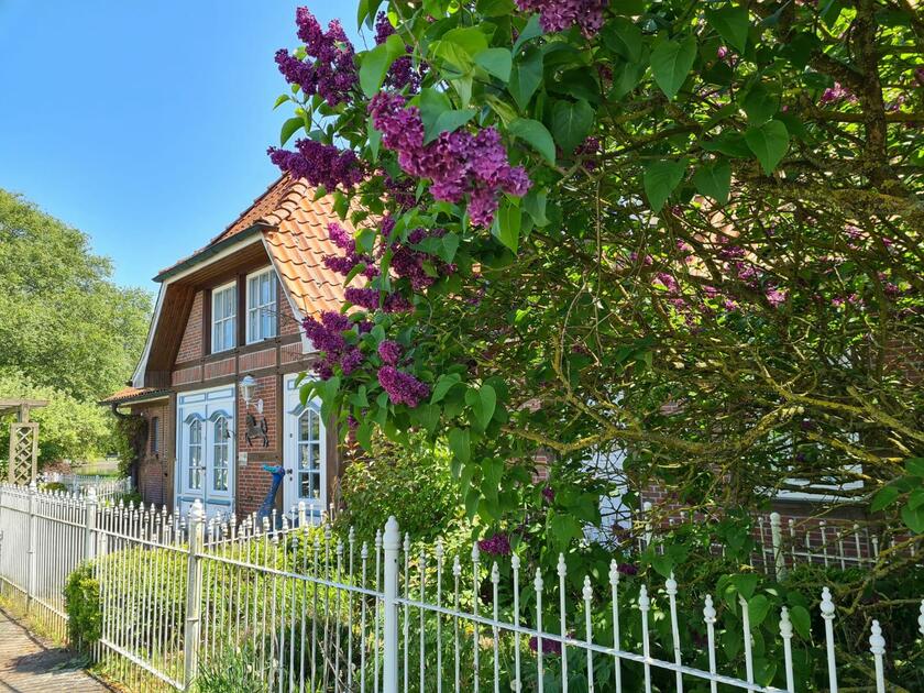 LocationRobot - Film Location Landhaus LR3879 (photo 3)