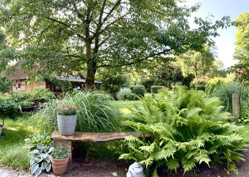 LocationRobot - Film Location Bauernhaus LR3963 (photo 5)