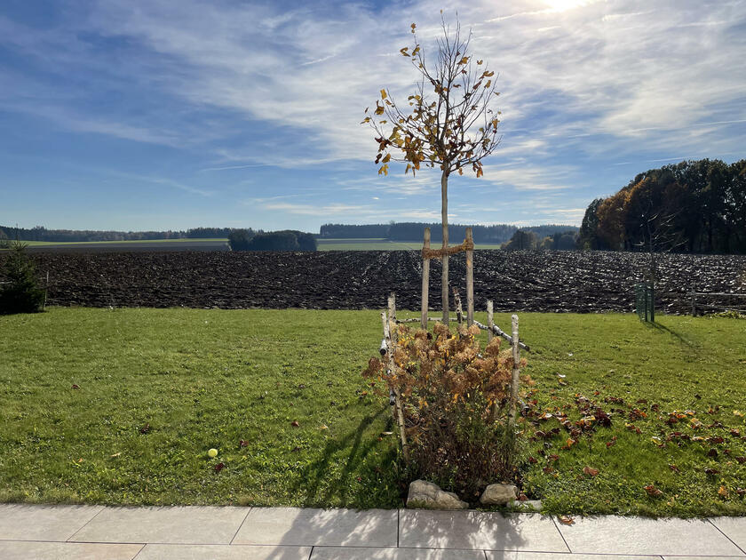 LocationRobot - Film Location Haus LR4041 (photo 9)