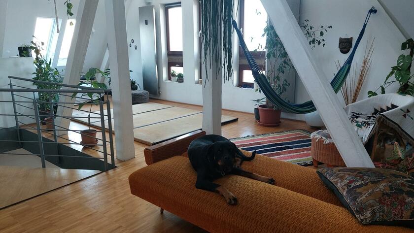 LocationRobot - Film Location Maisonette LR4094 (photo 2)