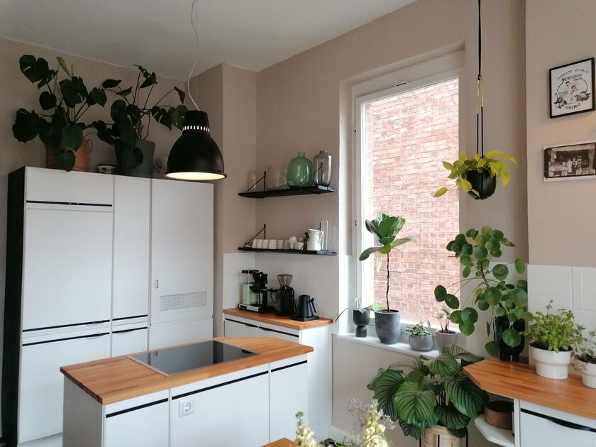 LocationRobot - Film Location Wohnung LR4261 (photo 10)