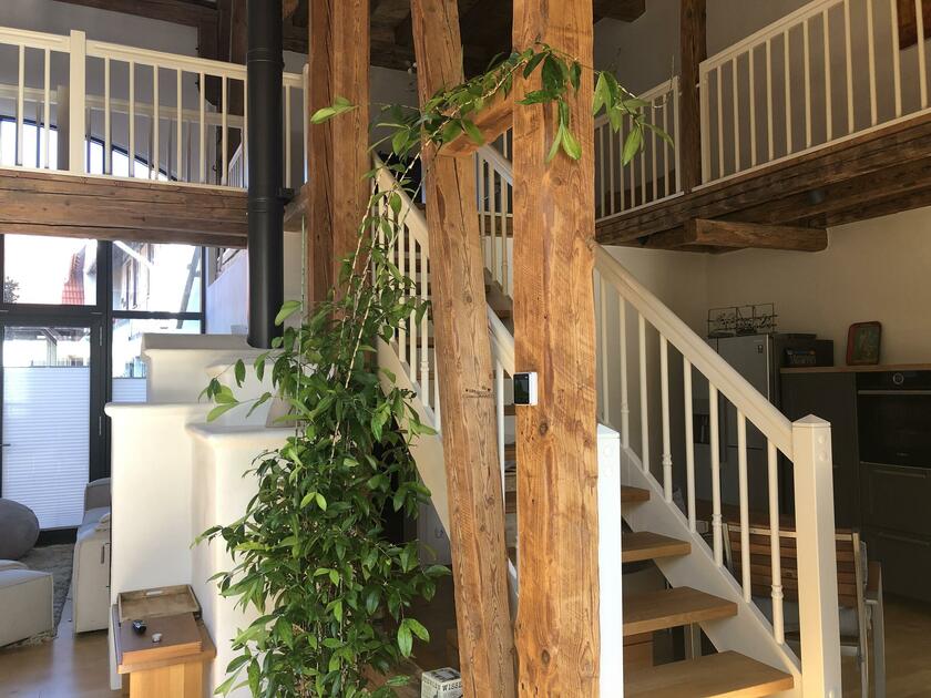 LocationRobot - Film Location Landhaus LR4356 (photo 9)