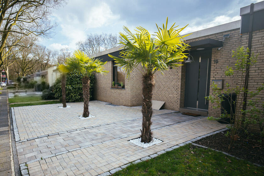 LocationRobot - Film Location Bungalow LR5423 (photo 1)