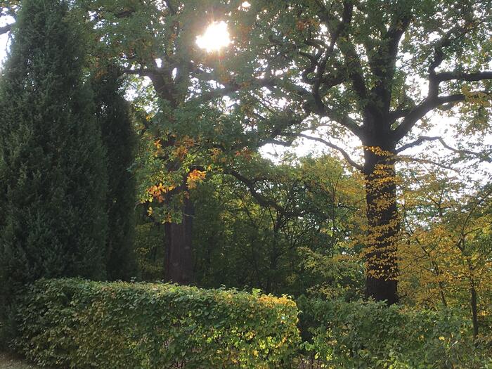 LocationRobot - Film Location Haus LR2094 (photo 9)