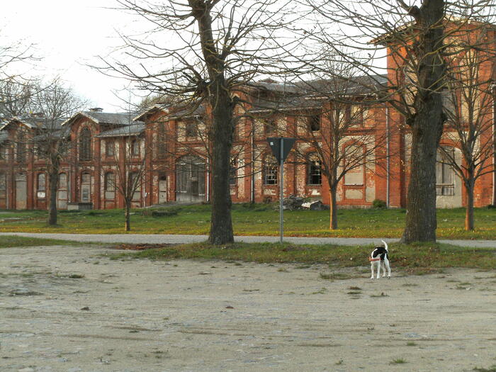 LocationRobot - Film Location Hof LR2699 (photo 4)