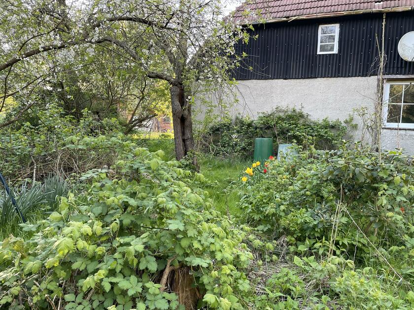 LocationRobot - Film Location Bauernhof LR5032 (photo 7)