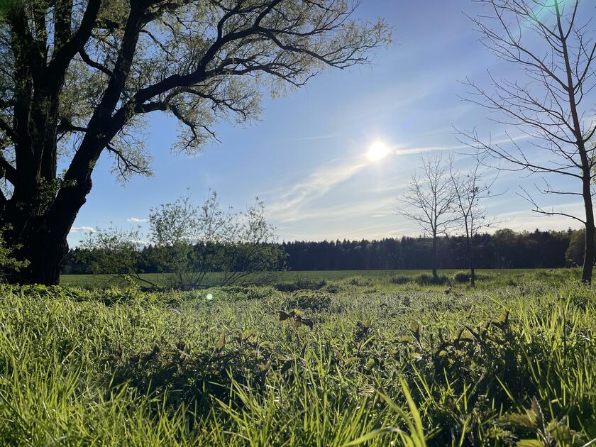 LocationRobot - Film Location Bauernhof LR5032 (photo 10)