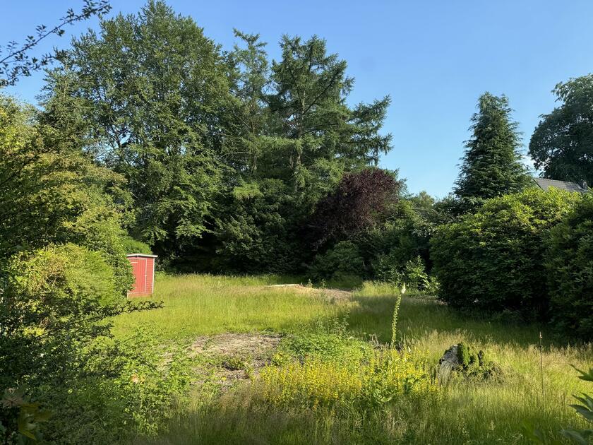 LocationRobot - Film Location Haus LR5787 (photo 4)